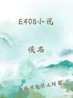 E408小说